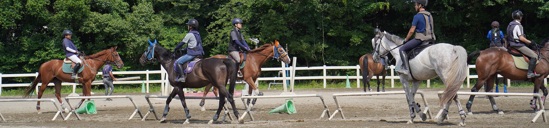 乗馬クラブ クレイン東海のPCメイン画像
